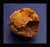 kelowej Wyz.Kr.-Cz. (035) amonit 2,5 - 2 - 2cm.jpg