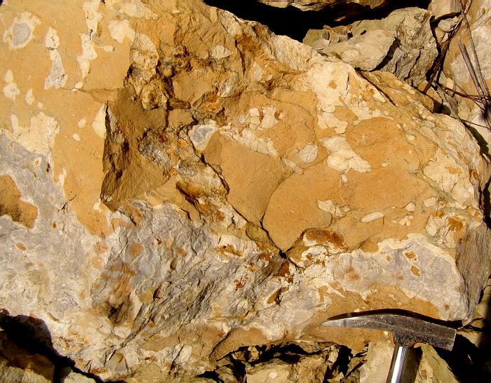 P7140053m