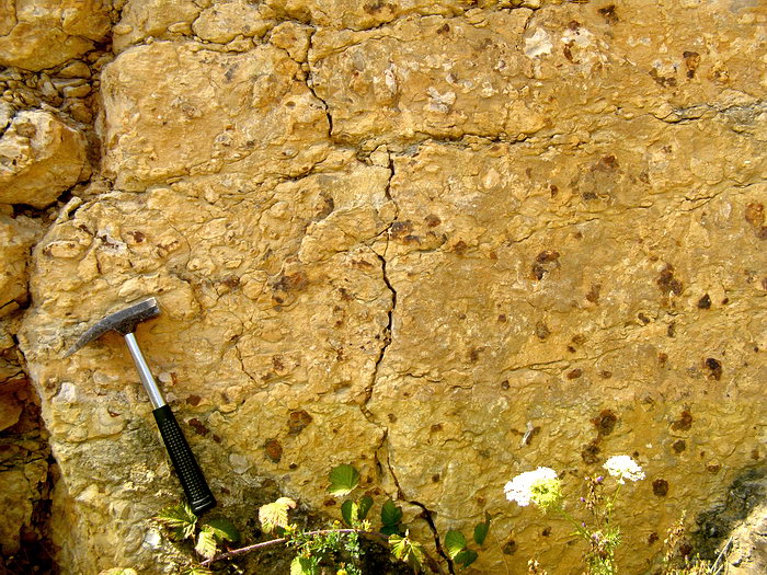 P7140055m