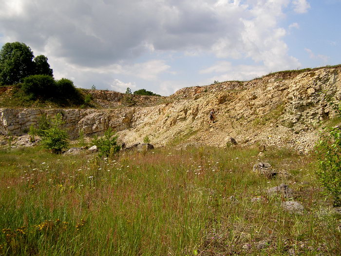 P7140058m