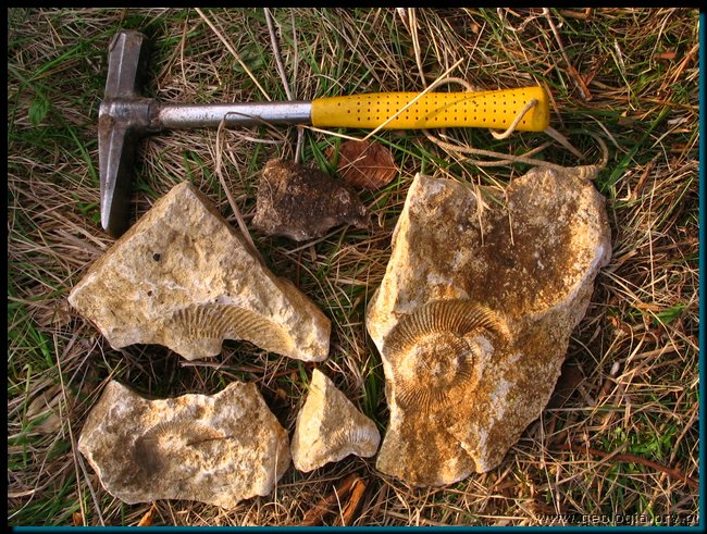 pic_021 zalas - buca gora.jpg