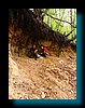 pic_199 czerwieniec.jpg