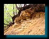 pic_224 czerwieniec.jpg