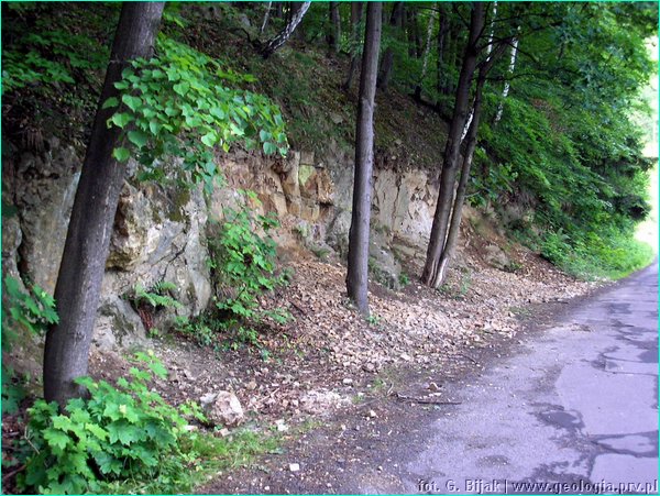 pic_461 Zagorze Slaskie.JPG