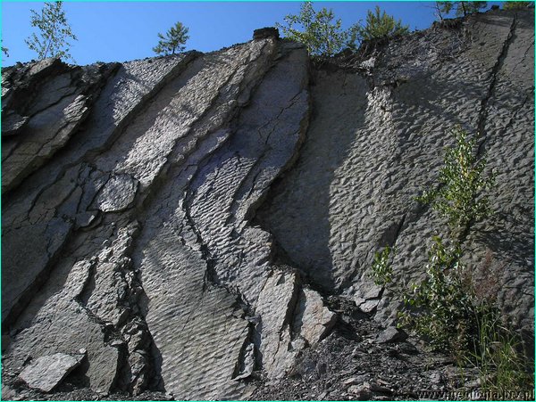 fot_08.JPG