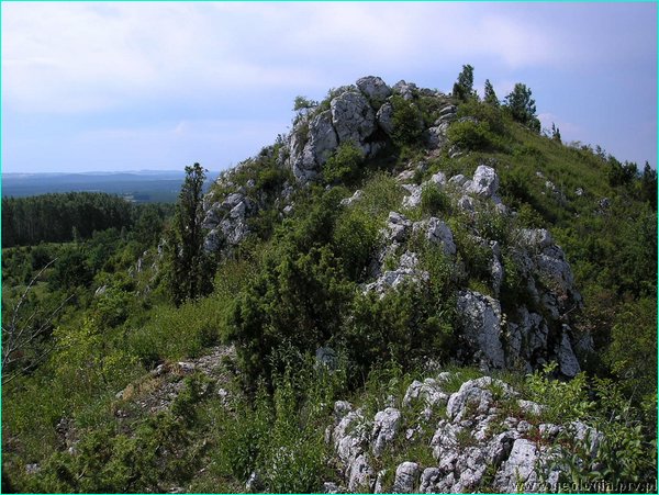 fot_16.JPG
