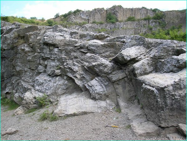 fot_47.JPG